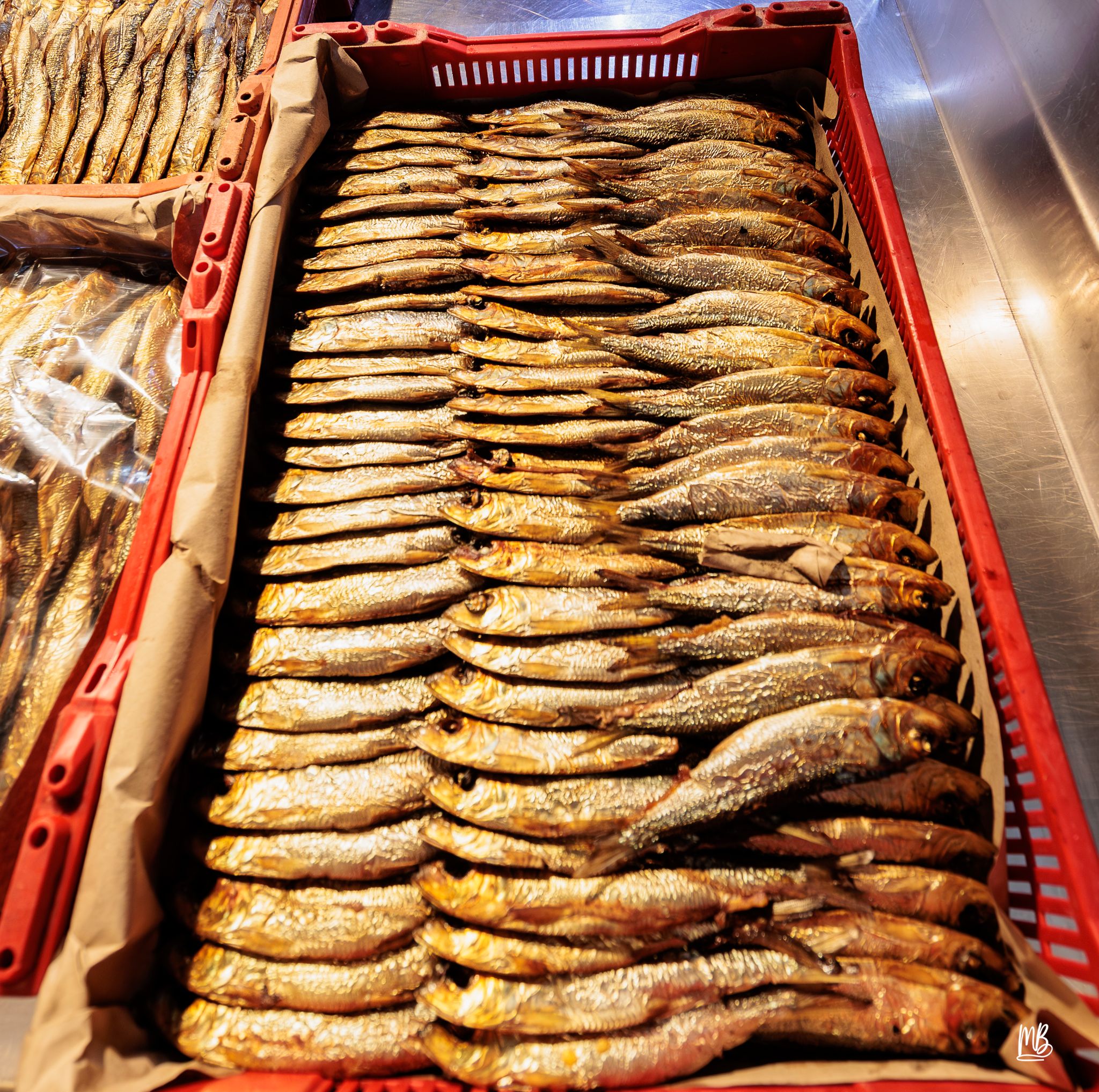 2024   Riga   MB 228